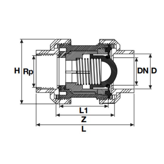 Picture of U-PVC  ONE SIDE FEMALE THREADED SPRING CHECKVALVE